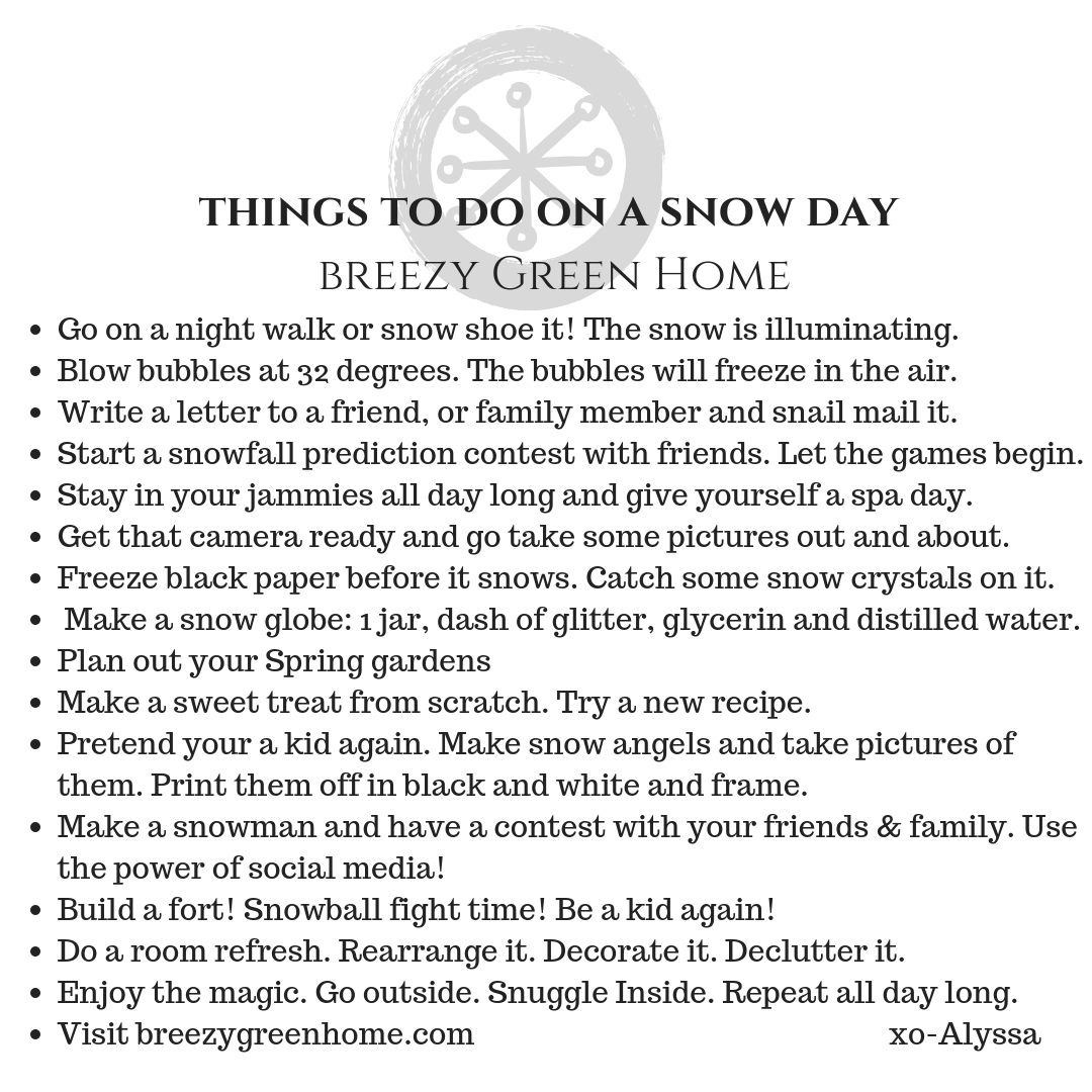 Want to know what to do on a snow day? Breezy Green Home has some fun tips because adulting is hard! 
