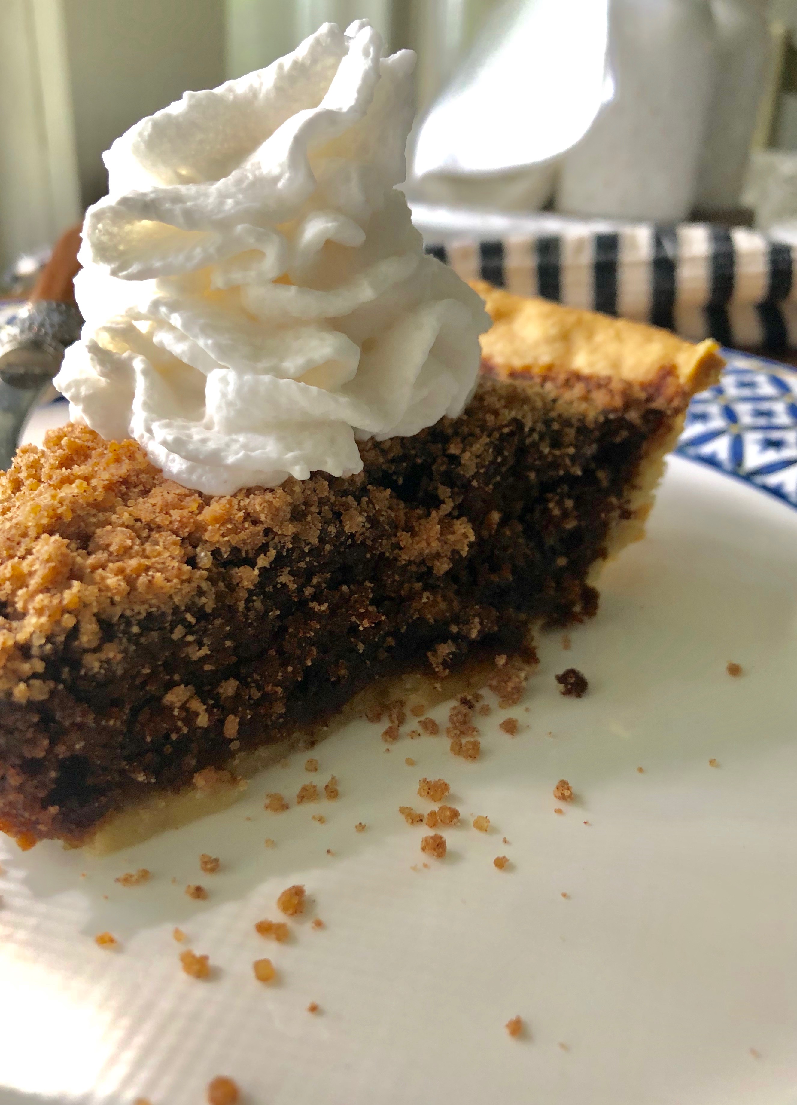 Shoo-Fly Pie recipe is delicious and has a gingerbread taste that will taste amazing when gathering around the campfire. 